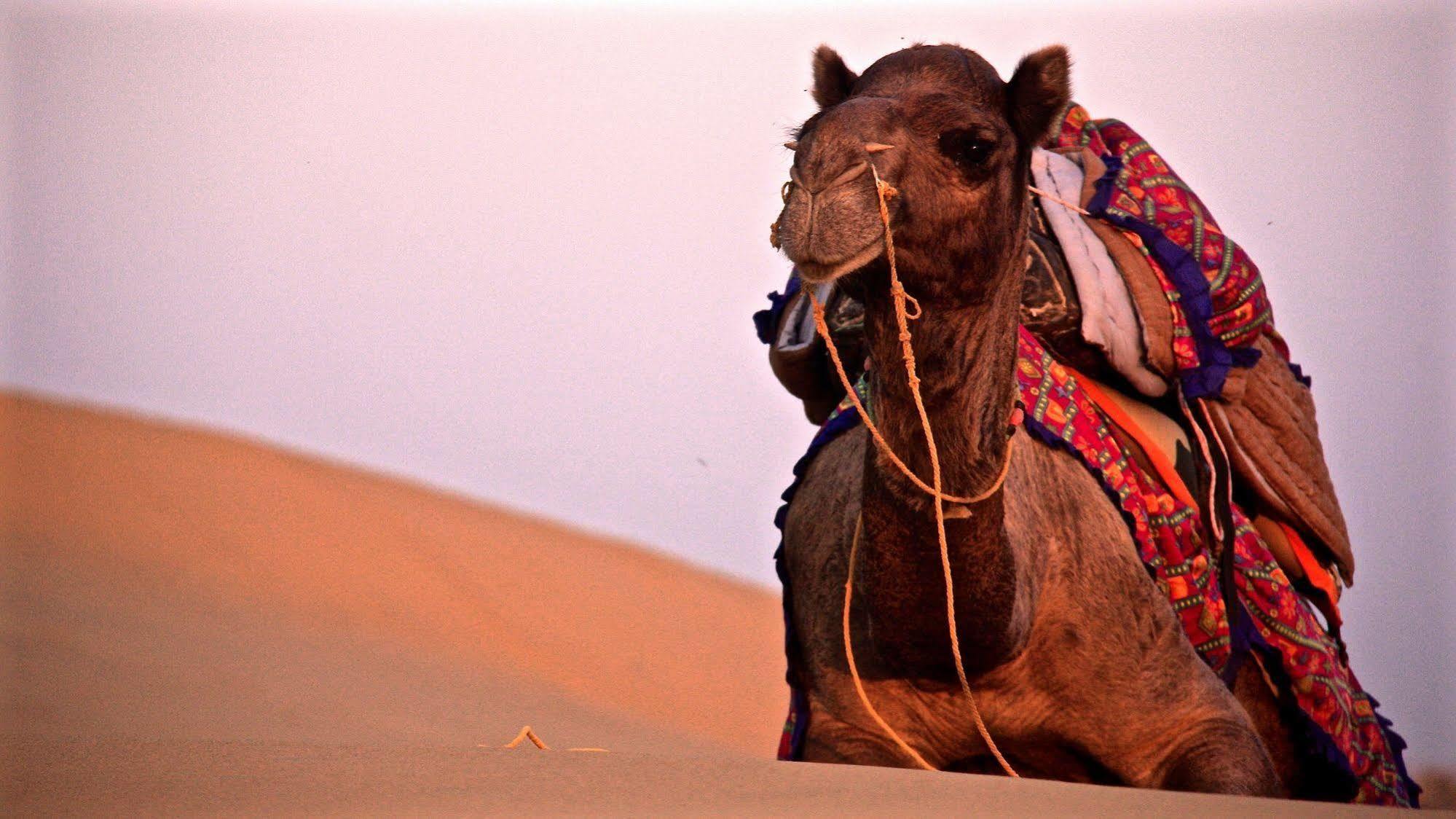 Damodra Desert Camp Jaisalmer Luaran gambar