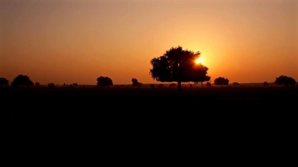Damodra Desert Camp Jaisalmer Luaran gambar