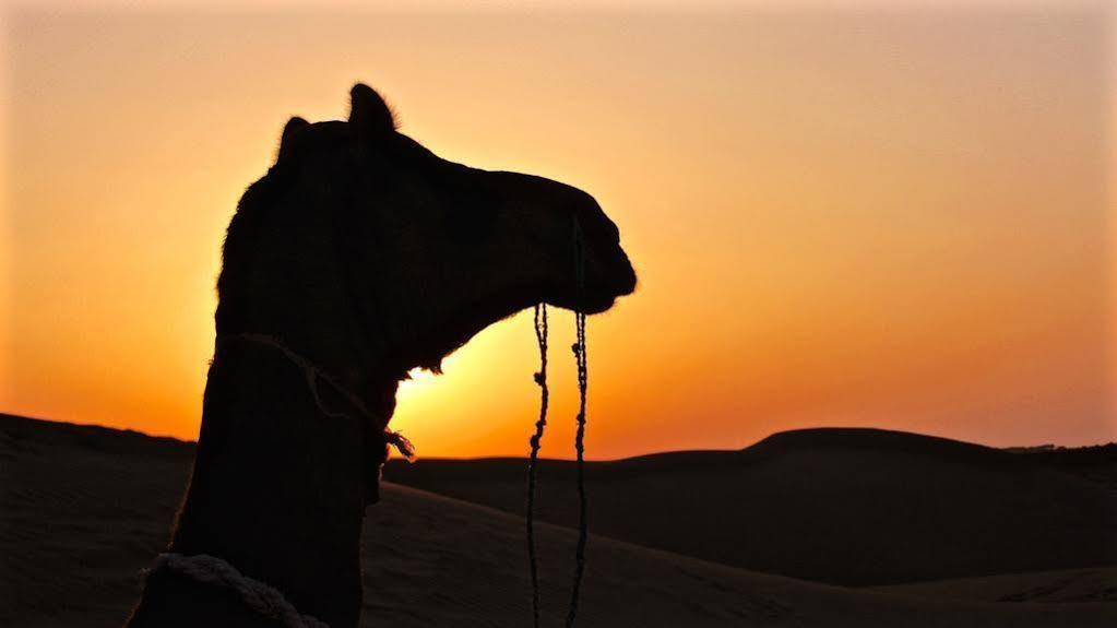Damodra Desert Camp Jaisalmer Luaran gambar